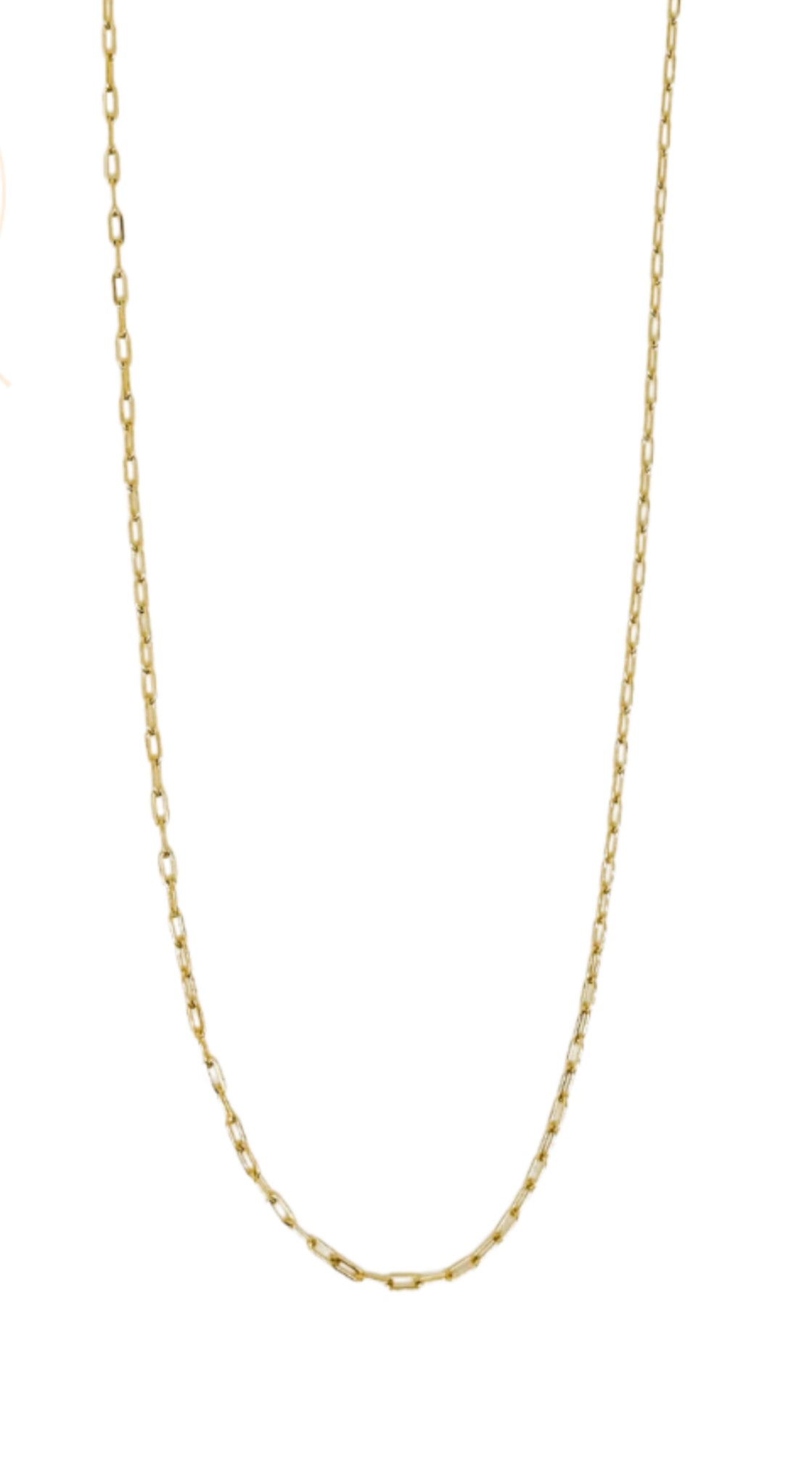 Chili Pepper Charm Necklace