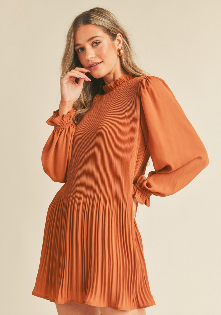 Pleated High Neck Mini Dress (2 Colours)