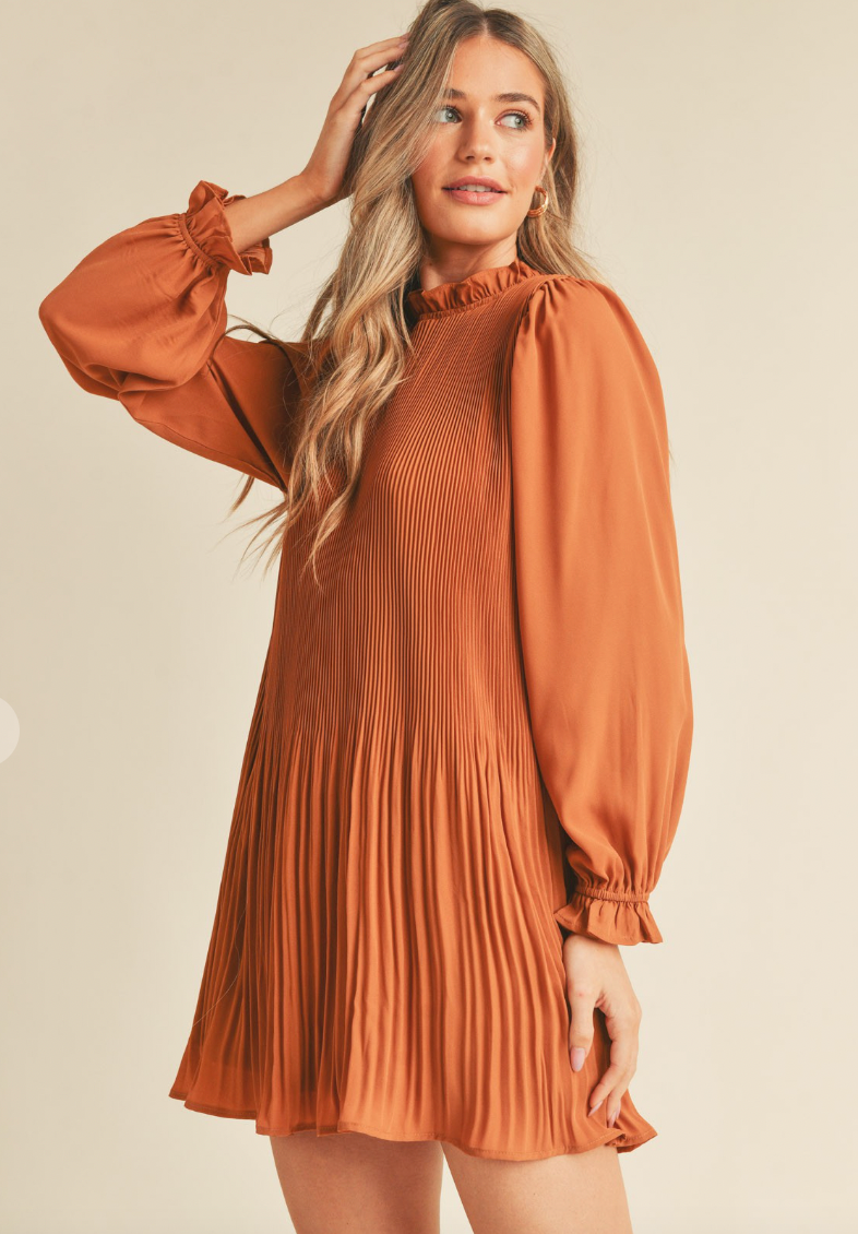 Pleated High Neck Mini Dress (2 Colours)