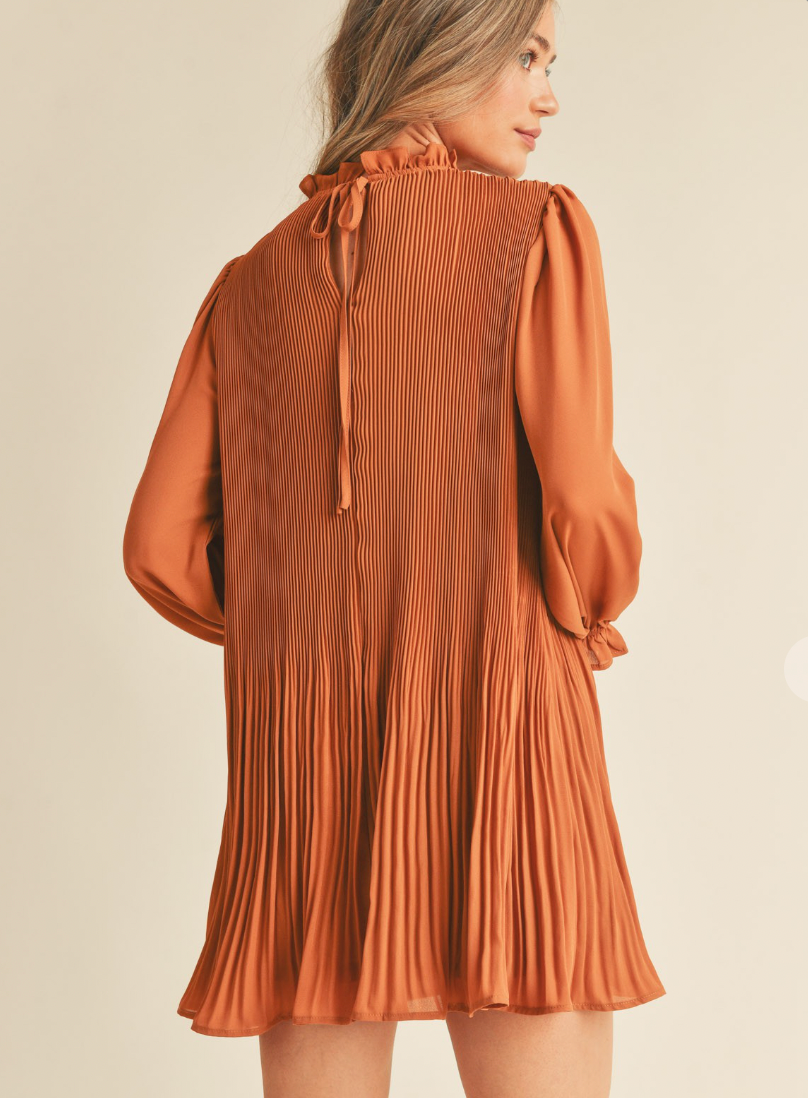 Pleated High Neck Mini Dress (2 Colours)