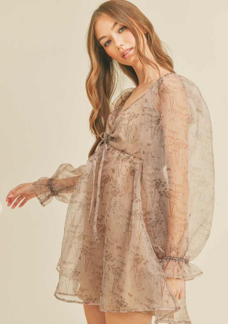 Organza Babydoll Mini Dress