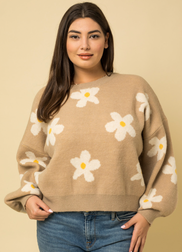 Plus size daisy sweater