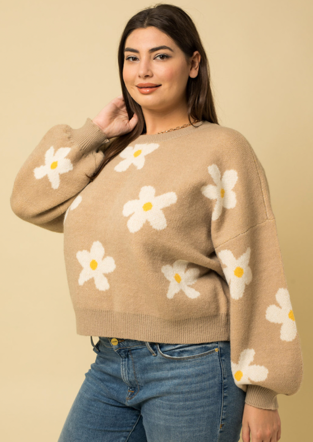 Plus size sweater