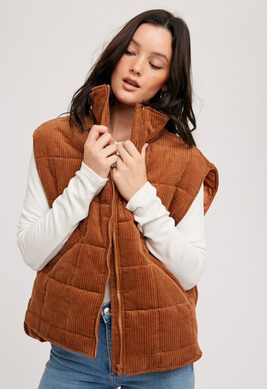 Brown vest