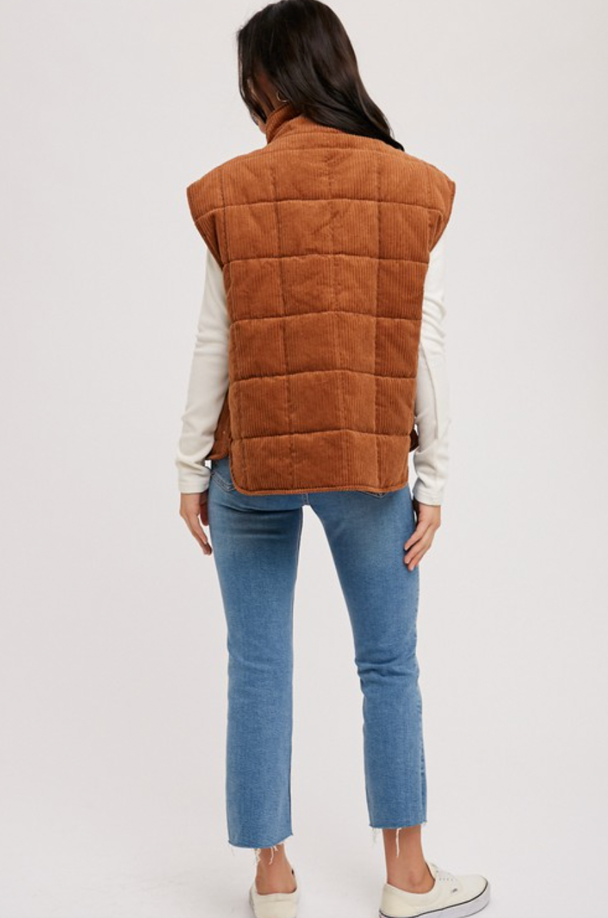 Brown Vest