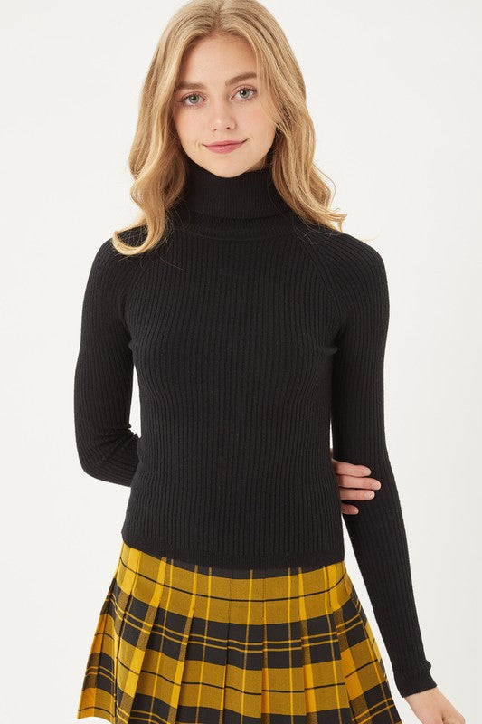 Cropped Turtleneck (2 Colours)