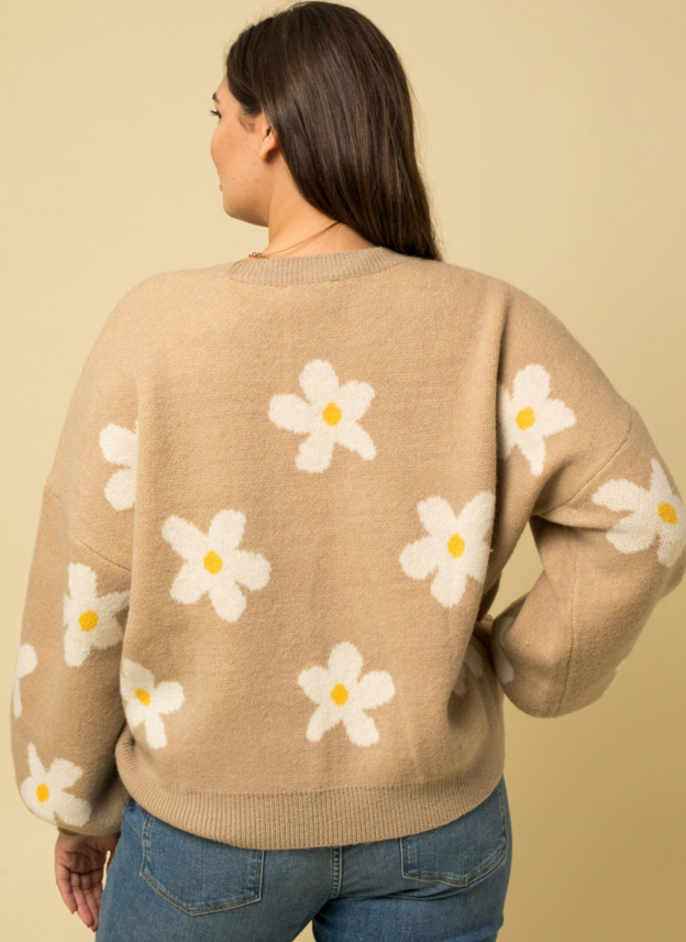 Plus size daisy sweater