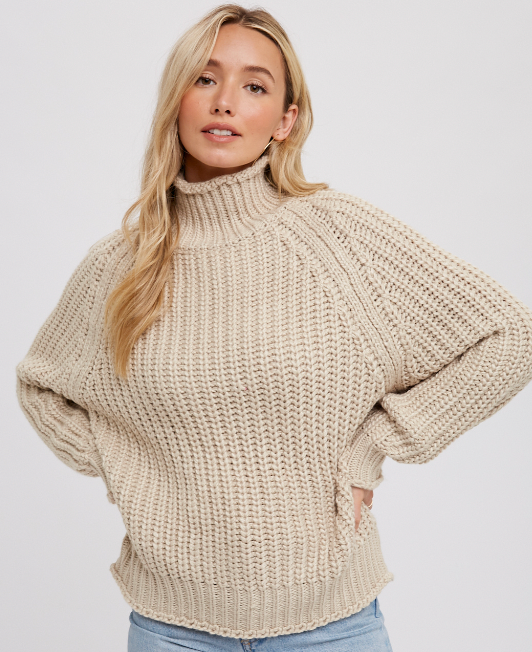 Chunky Turtle Neck Pullover (2 Colours)