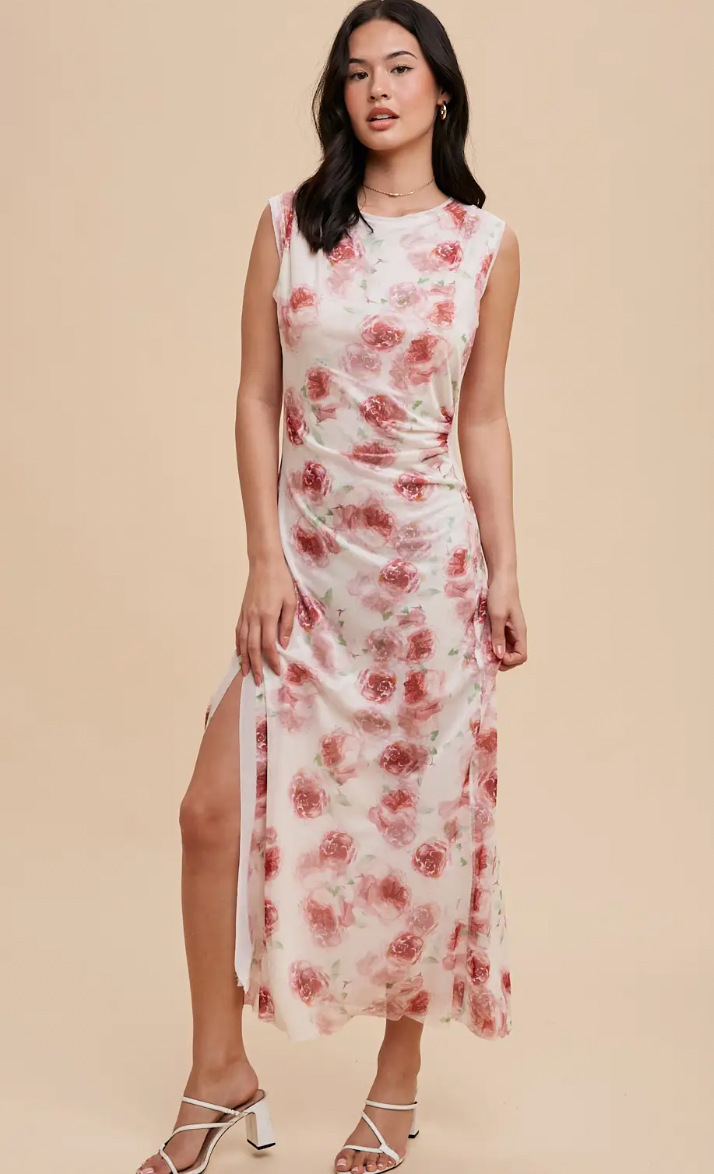 Rose Print Mesh Dress