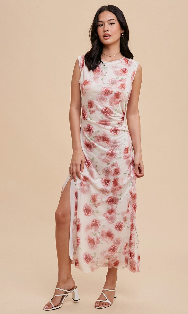 Rose Print Mesh Dress