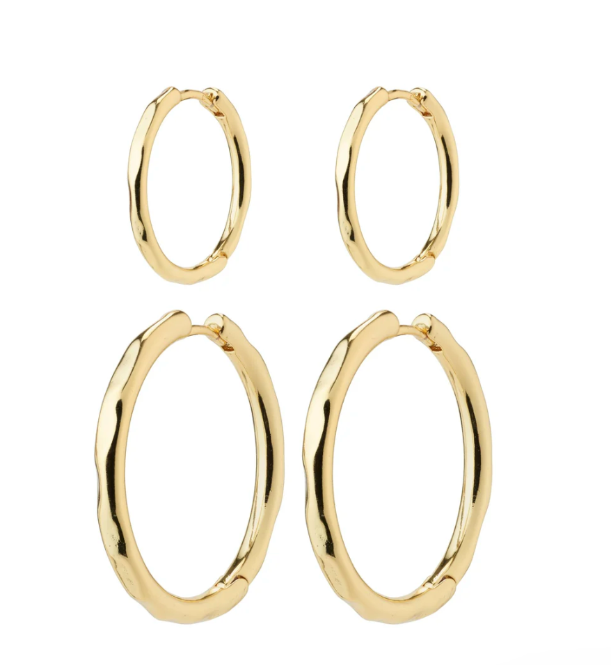 Eve Hoop Earring Set (Gold /Silver)