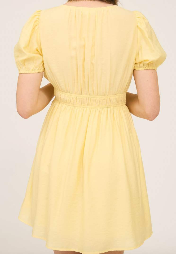Buttercup Mini Dress 2