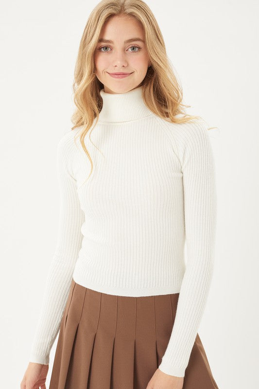 Cropped Turtleneck (2 Colours)